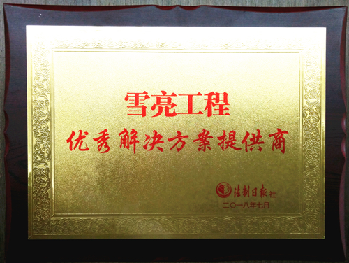 雪亮工程优秀解决方案提供商_副本.jpg